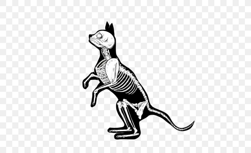 Whiskers Cat Dog Macropods Mammal, PNG, 500x500px, Whiskers, Animation, Art, Black M, Blackandwhite Download Free