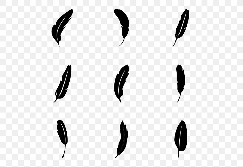 Bird Feather, PNG, 600x564px, Bird, Black, Black And White, Computer Font, Feather Download Free