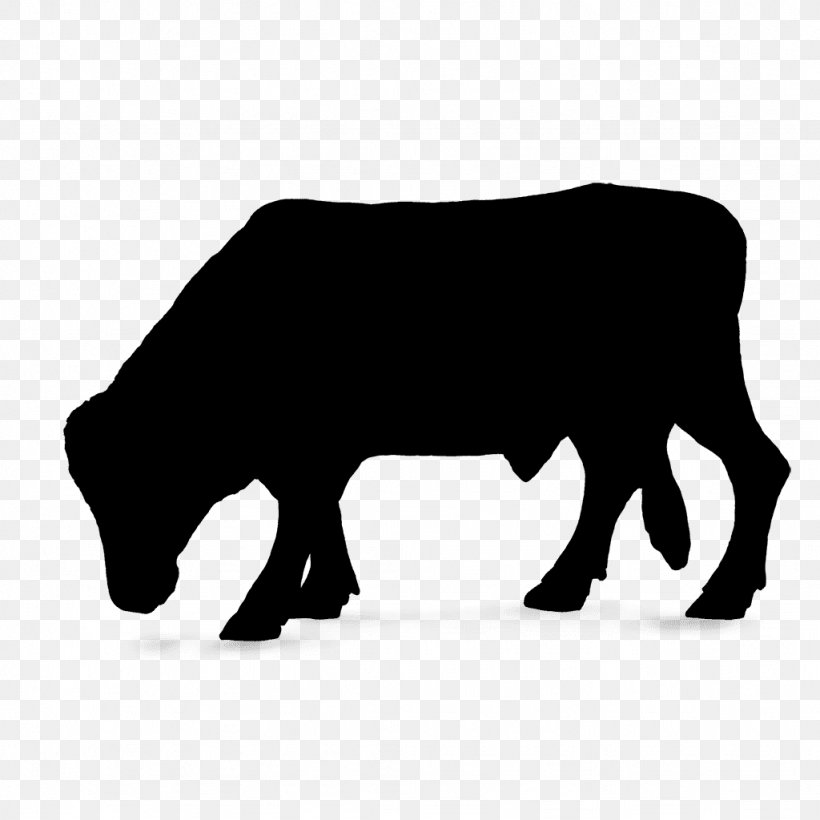 Cattle Silhouette Font Snout Black M, PNG, 1024x1024px, Cattle, Animal ...