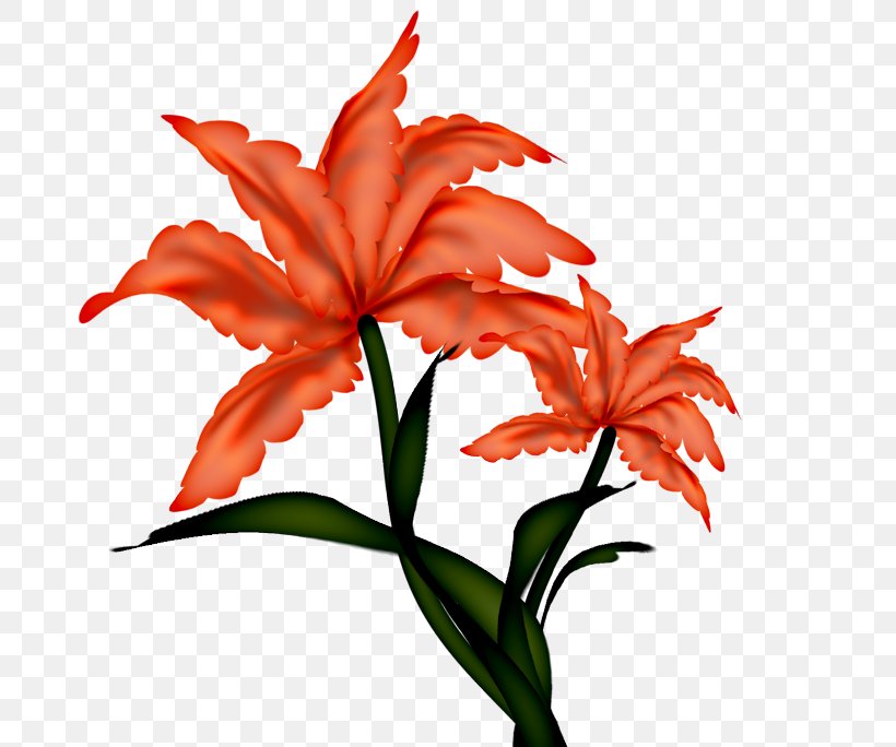 Clip Art Flower Image Drawing, PNG, 684x684px, Flower, Amaryllis Belladonna, Amaryllis Family, Centerblog, Cut Flowers Download Free