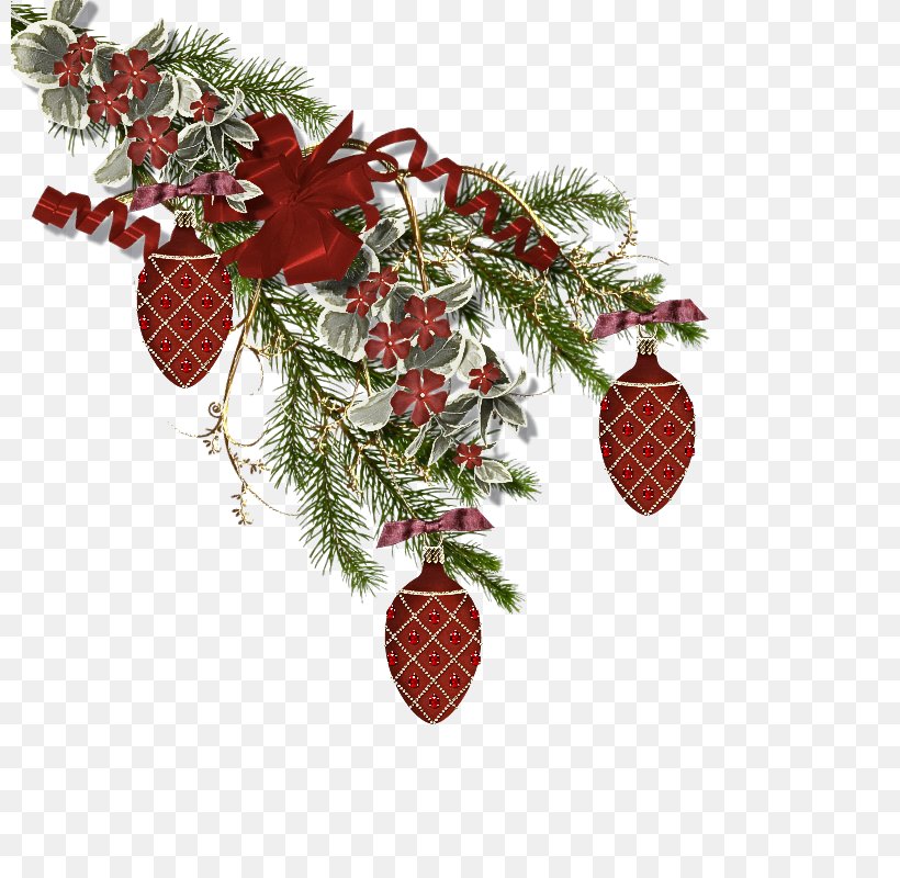 Holly, PNG, 800x800px, Tree, Branch, Fir, Fruit, Holly Download Free