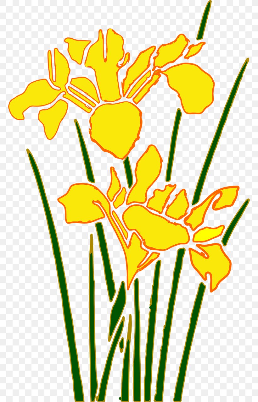Iris Download Desktop Wallpaper Clip Art, PNG, 768x1280px, Iris, Artwork, Black And White, Can Stock Photo, Cut Flowers Download Free
