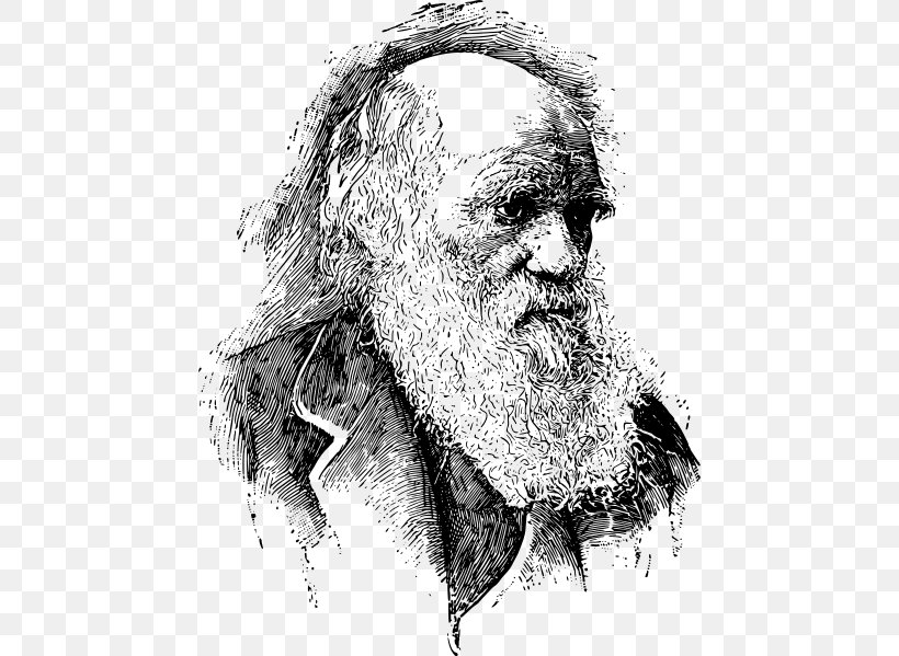 On The Origin Of Species Evolutionary Medicine Evolutionary Psychology Biology, PNG, 458x599px, On The Origin Of Species, Abiogenesis, Adaptation, Art, Artwork Download Free