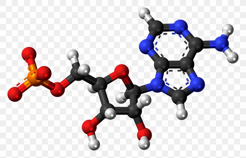 Adenosine Monophosphate Adenosine Triphosphate Molecule Uridine Monophosphate, PNG, 2000x1281px, Watercolor, Cartoon, Flower, Frame, Heart Download Free