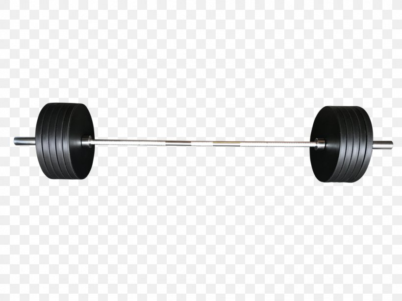 Barbell Weight Training Dumbbell Weight Plate Bench, PNG, 1024x768px, Barbell, Bench, Bench Press, Dumbbell, Exercise Equipment Download Free