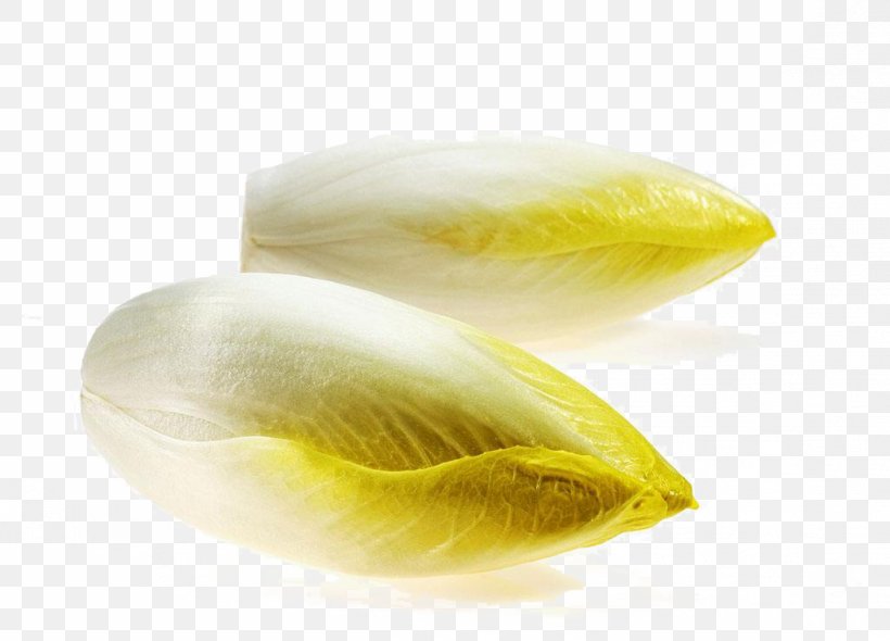Chicory Taste Bitterness Vegetable Endive, PNG, 1024x738px, Chicory, Bitterness, Chinese Cabbage, Commodity, Corn On The Cob Download Free