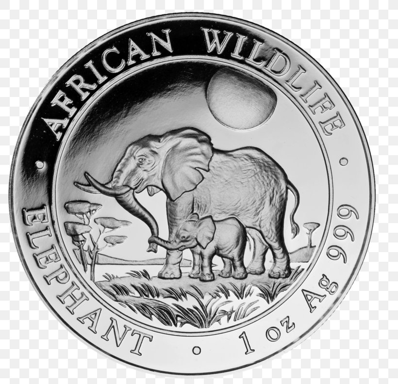 Indian Elephant Silver Coin African Elephant Elephantidae, PNG, 800x792px, Indian Elephant, African Elephant, Black And White, Bullion, Bullion Coin Download Free