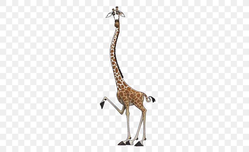 Melman Madagascar Northern Giraffe Drawing, PNG, 500x500px, Melman, Animal, Animal Figure, Animation, Cartoon Download Free