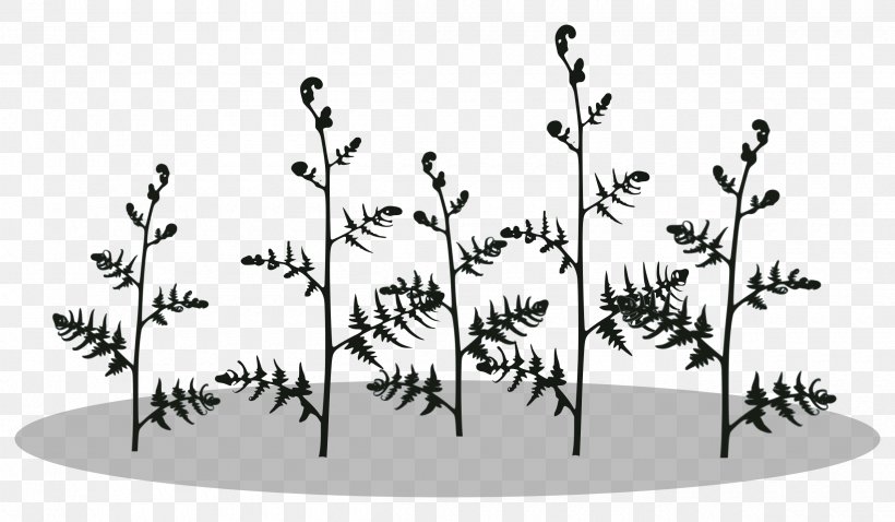 Plant Stem Fern Burknar Silhouette Vascular Plant, PNG, 2400x1400px, Plant Stem, Black, Black And White, Branch, Burknar Download Free