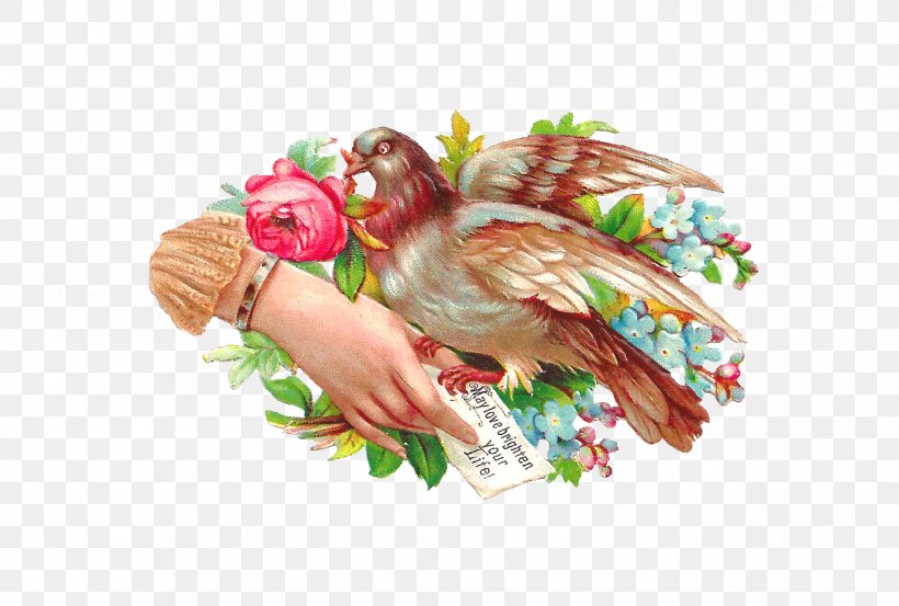 Rose Bird Victorian Era Clip Art, PNG, 1397x943px, Rose, Bird, Chicken, Flower, Photography Download Free