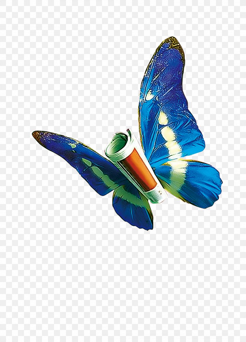 Butterfly, PNG, 2124x2953px, Organization, Blue Butterfly, Butterfly, Feather, Insect Download Free