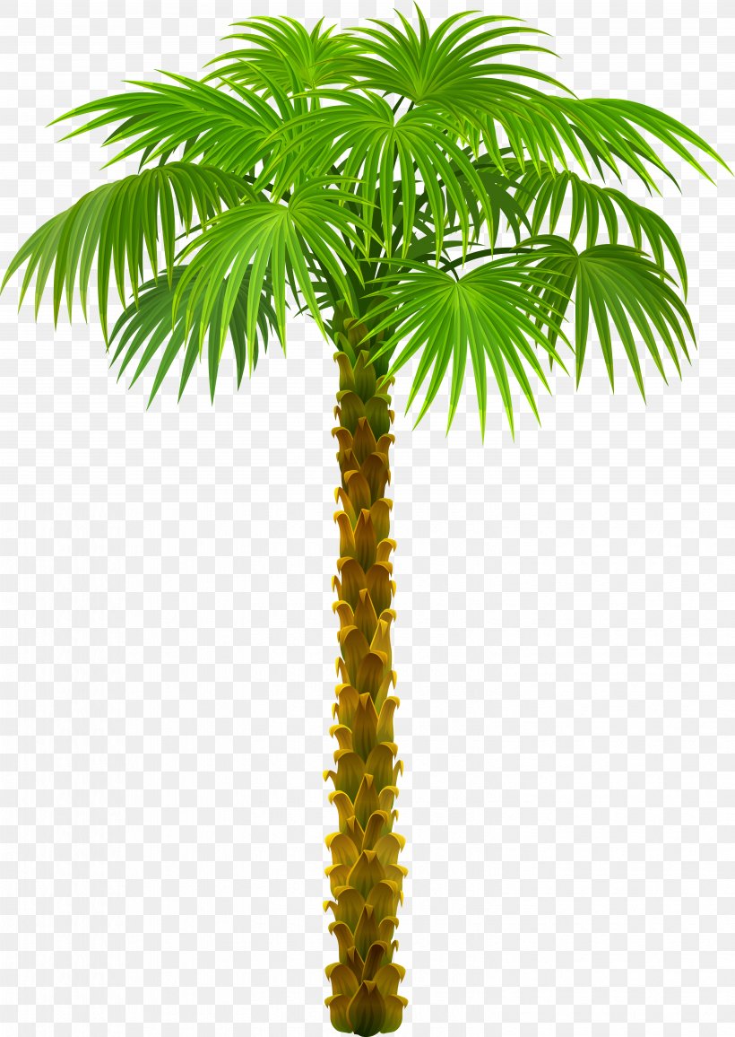 Palm Trees Clip Art, PNG, 5989x8449px, Arecaceae, Areca Nut, Areca Palm, Arecales, Blog Download Free