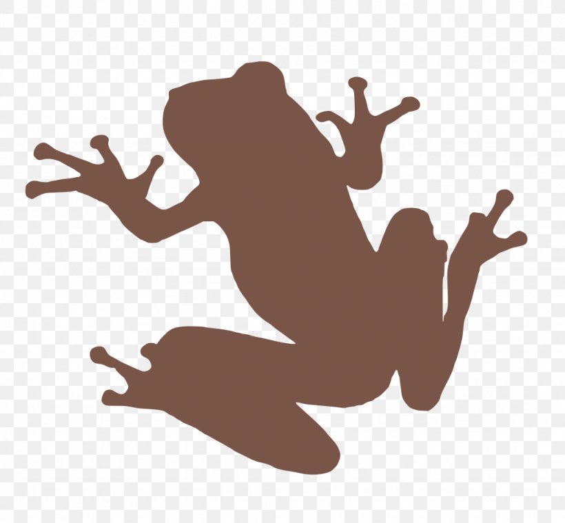 Pond Cartoon, PNG, 1024x948px, Frog, American Bullfrog, Amphibians, Animal, Jumping Download Free