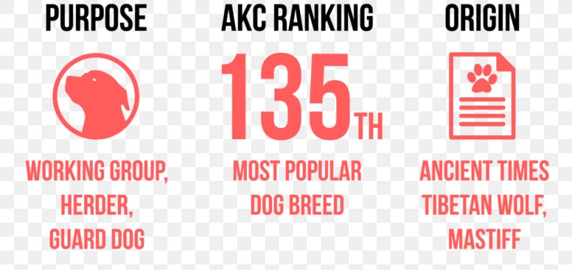 Beagle American Pit Bull Terrier Boston Terrier Tibetan Mastiff, PNG, 1024x485px, Beagle, American Kennel Club, American Pit Bull Terrier, Area, Boston Terrier Download Free