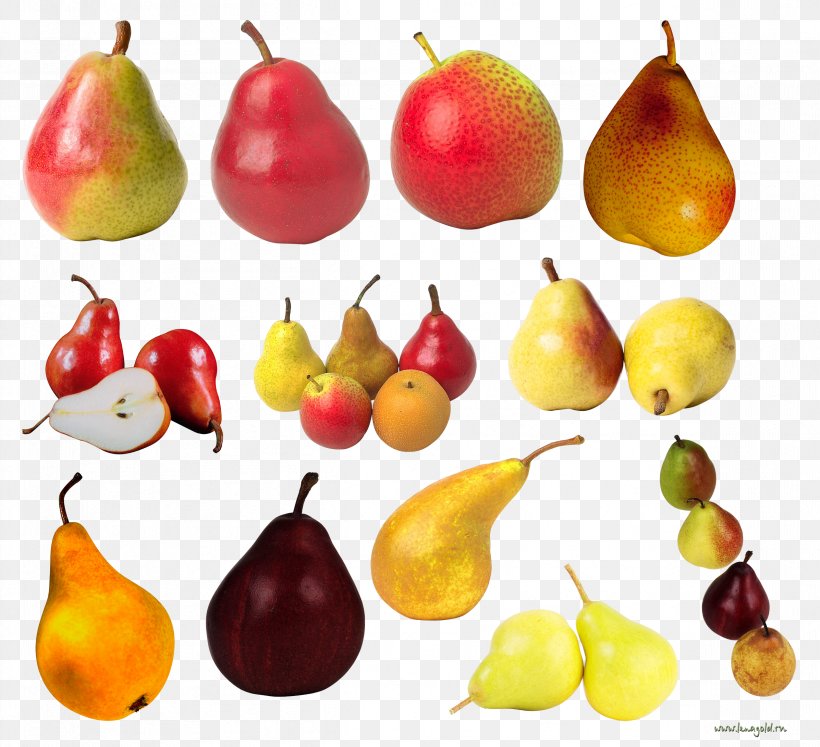 European Pear Fruit Clip Art, PNG, 2393x2181px, Amygdaloideae, Accessory Fruit, Apple, Bosc Pear, Food Download Free
