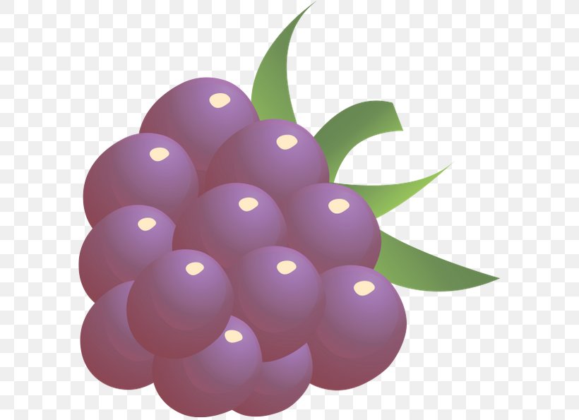 Grape Juice Cocktail Carbonated Drink Beverages, PNG, 600x595px, Grape, Beverages, Carbonated Drink, Cartoon, Cocktail Download Free