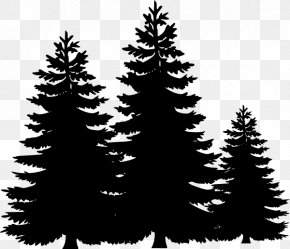 Christmas Tree Outline Clip Art, PNG, 540x595px, Christmas Tree, Area ...