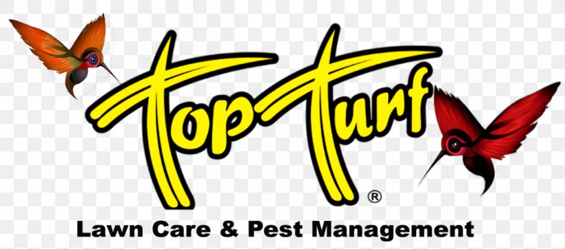 Top Turf Lawn Care And Pest Management, PNG, 1200x530px, Butterfly, Area, Artwork, Brand, Insect Download Free