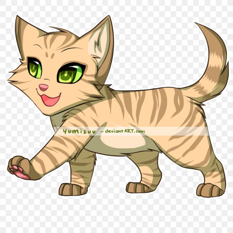 Kitten Tabby Cat Whiskers Wildcat, PNG, 894x894px, Watercolor, Cartoon, Flower, Frame, Heart Download Free