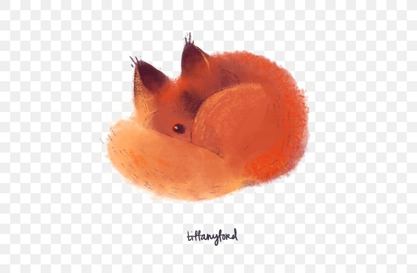 Red Fox Cat Drawing, PNG, 564x537px, Red Fox, Animal, Art, Carnivoran, Cat Download Free