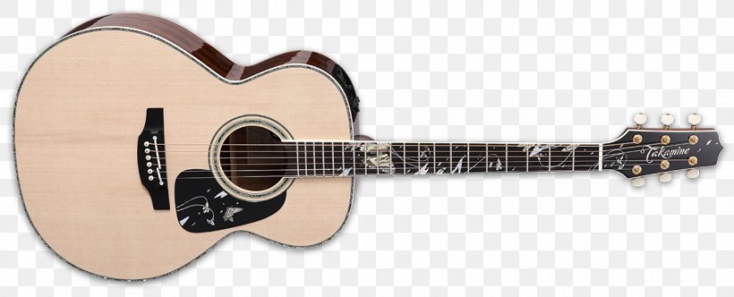 Twelve-string Guitar Takamine Guitars Takamine Pro Series P3DC Acoustic Guitar Dreadnought, PNG, 1200x486px, Watercolor, Cartoon, Flower, Frame, Heart Download Free