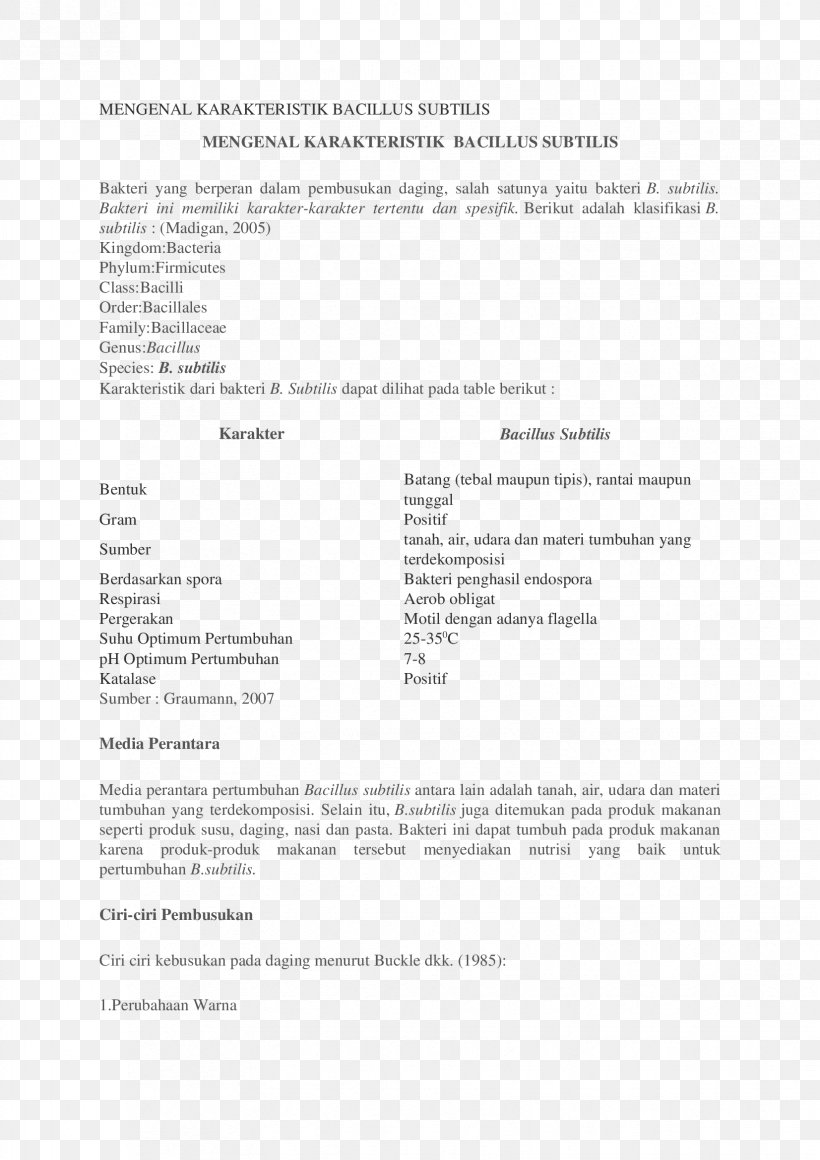 Document Line, PNG, 1653x2339px, Document, Area, Paper, Text Download Free