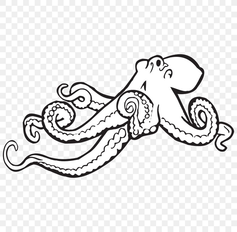 Octopus Black And White Monochrome Clip Art, PNG, 800x800px, Octopus, Area, Art, Black, Black And White Download Free
