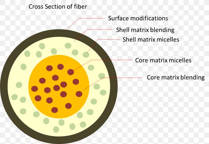 Brand Circle Font, PNG, 1158x799px, Brand, Area, Text, Yellow Download Free