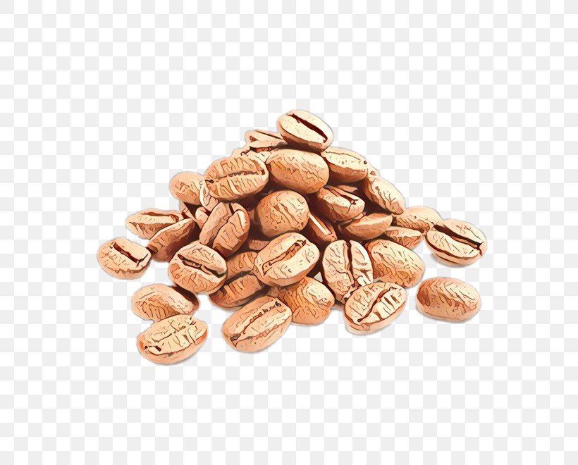 Food Nuts & Seeds Plant Nut Bean, PNG, 660x660px, Food, Bean, Ingredient, Nut, Nuts Seeds Download Free