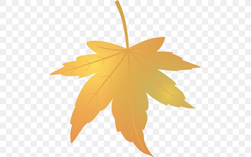 Maple Leaf Orange S.A., PNG, 496x513px, Maple Leaf, Leaf, Orange, Orange Sa, Plant Download Free