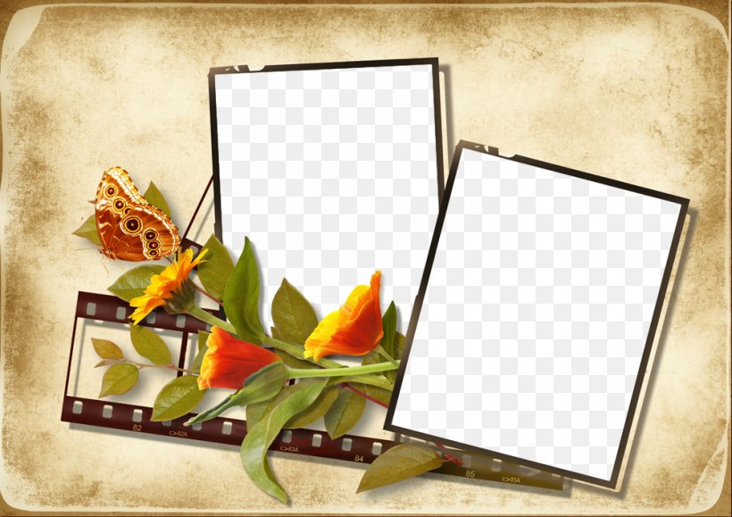 Picture Frame, PNG, 1000x707px, Picture Frame, Flower, Paper, Plant, Rectangle Download Free