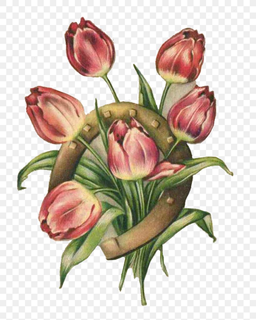 Cut Flowers Tulip, PNG, 764x1024px, Flower, Bud, Cut Flowers, Floral Design, Floristry Download Free