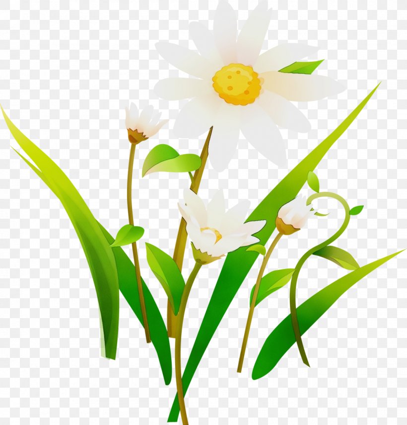 Flower Flowering Plant Plant Petal Narcissus, PNG, 1150x1200px, Watercolor, Flower, Flowering Plant, Grass, Narcissus Download Free