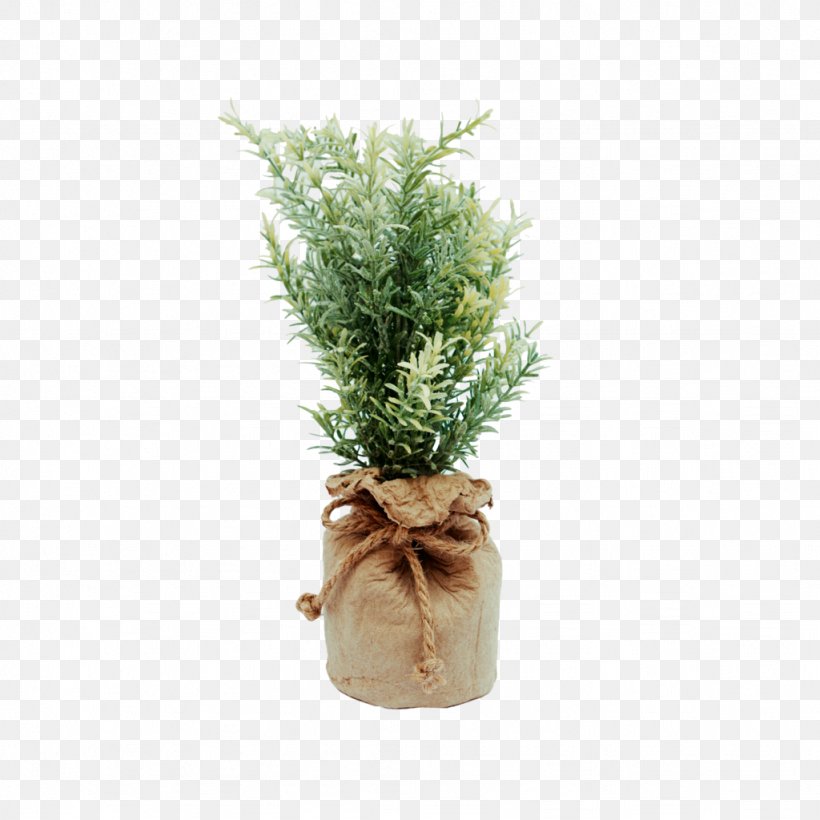 Flowerpot Ornamental Plant Plastic Light, PNG, 1024x1024px, Flowerpot, Ceramic, Color, Evergreen, Folding Chair Download Free