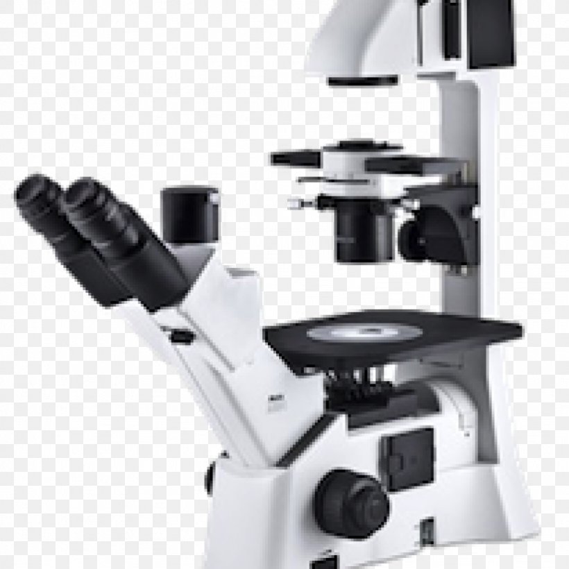 Inverted Microscope Phase Contrast Microscopy Optical Microscope Stereo Microscope, PNG, 1024x1024px, Inverted Microscope, Achromatic Lens, Cell, Contrast, Dapi Download Free