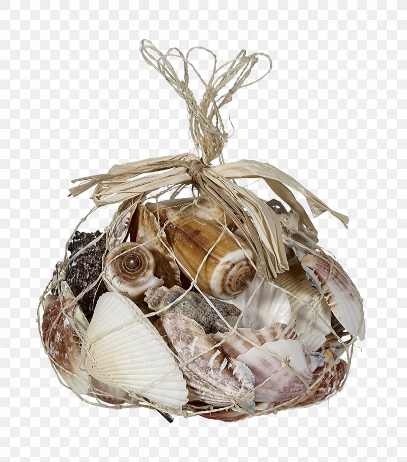 Seashell Conch Sea Snail Lambis Beach, PNG, 969x1100px, Seashell, Abalone, Beach, Christmas Ornament, Coast Download Free