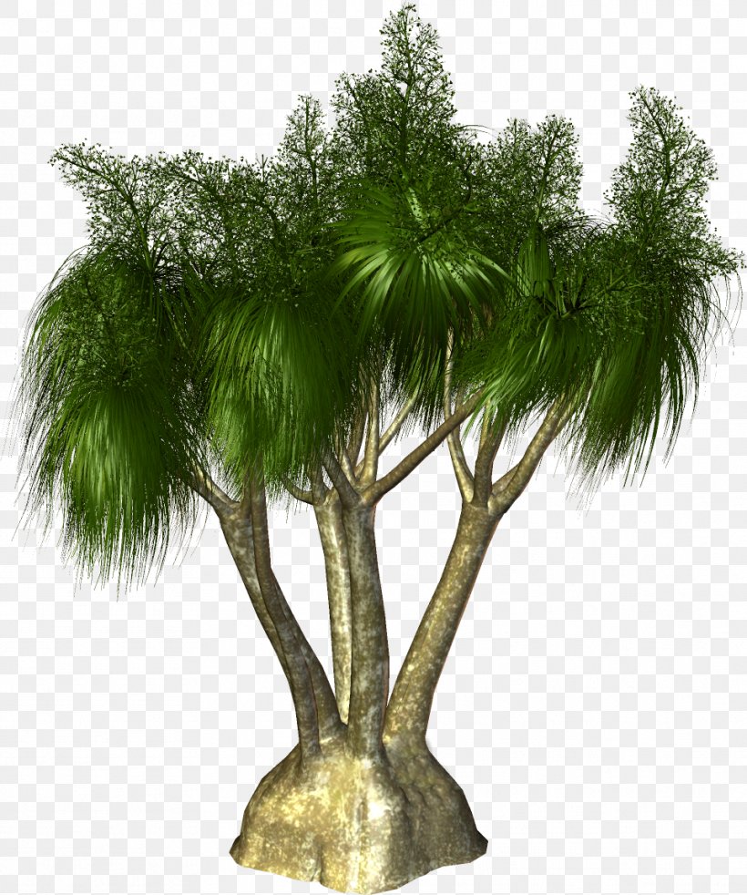 Arecaceae Tree Plant Clip Art, PNG, 961x1151px, Arecaceae, Arecales, Asian Palmyra Palm, Borassus, Borassus Flabellifer Download Free
