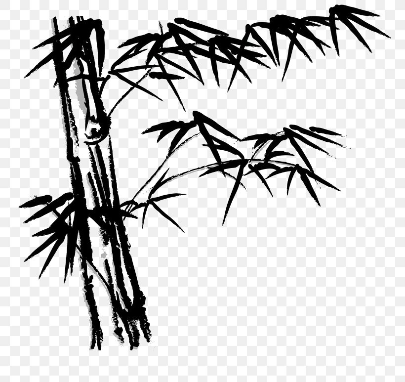 Bamboo Clip Art, PNG, 800x773px, Bamboo, Art, Black And White, Branch, Calligraphy Download Free