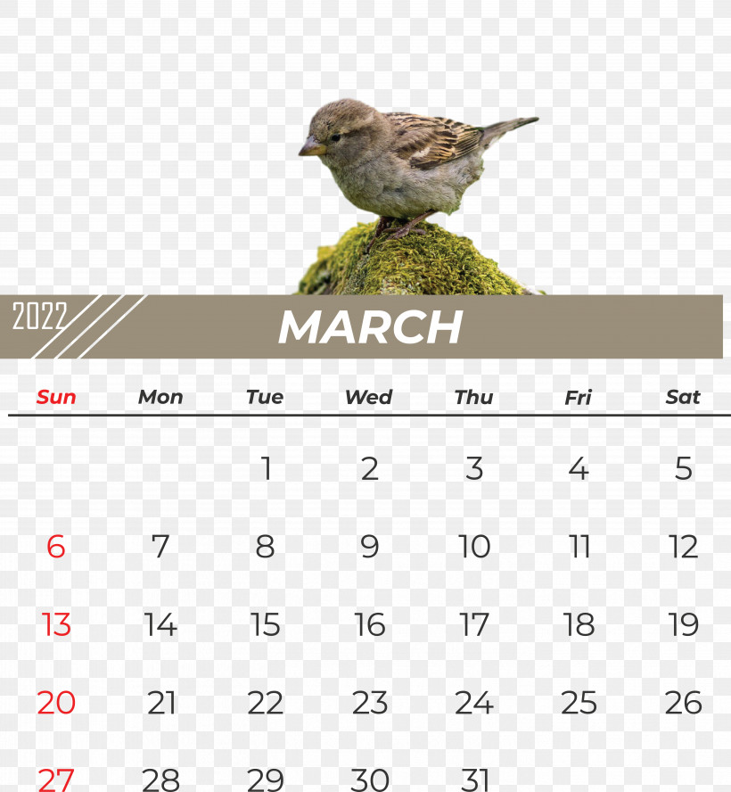 Birds Beak Calendar Font Meter, PNG, 5607x6078px, Birds, Beak, Biology, Calendar, Meter Download Free