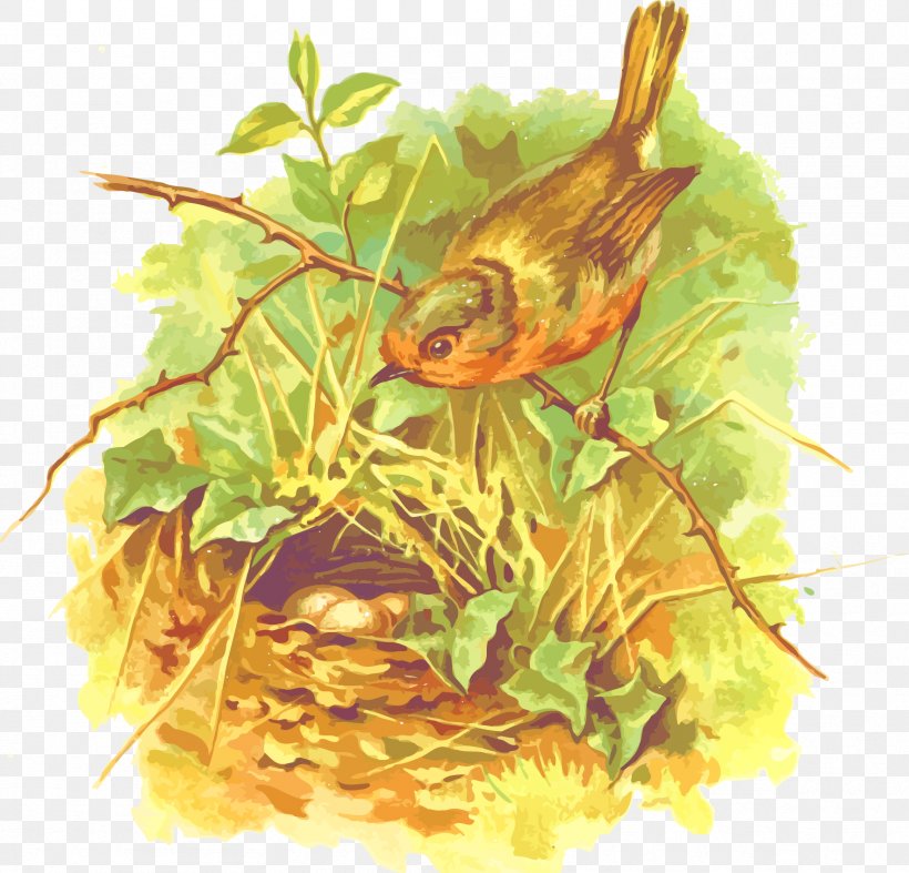 European Robin Bird Poster Nest Illustration, PNG, 1767x1697px, European Robin, American Robin, Art, Bird, Bird Nest Download Free