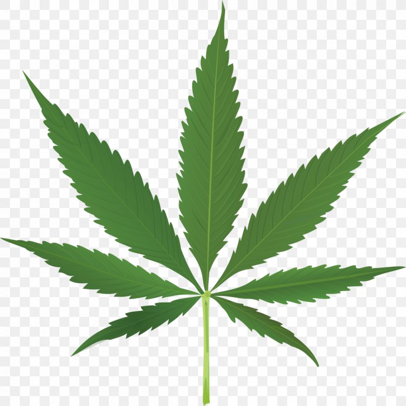 Medical Cannabis Legality Of Cannabis Legalization Australia, PNG, 1200x1200px, Medical Cannabis, Australia, Cannabis, Cannabis Cultivation, Dispensary Download Free