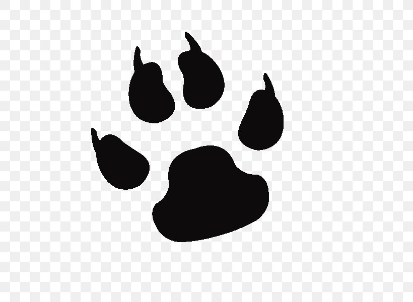 Dog Cat Paw Bear Clip Art, PNG, 800x600px, Dog, Animal Track, Bear, Black, Black And White Download Free