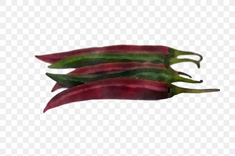 Vegetable Plant Okra Chili Pepper Eggplant, PNG, 1880x1253px, Vegetable, Chili Pepper, Eggplant, Food, Okra Download Free