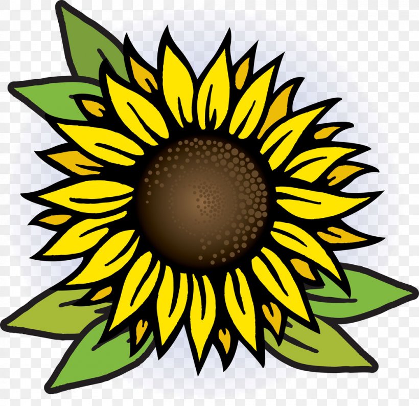 Common Sunflower Royalty-free Drawing, PNG, 1000x969px, Common Sunflower, Artwork, Cut Flowers, Daisy Family, Drawing Download Free