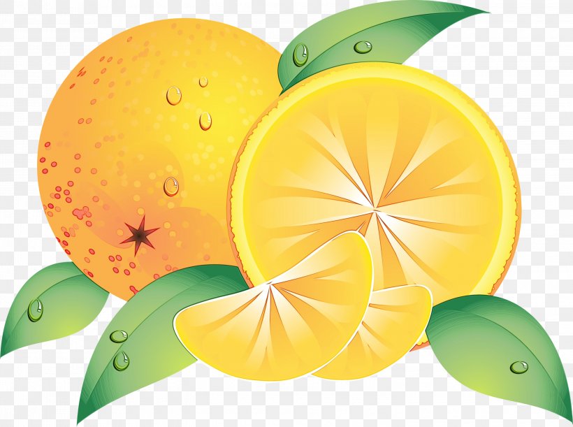 Lemon Drawing, PNG, 3000x2239px, Letter, Animation, Citrus, Drawing, Fruit Download Free