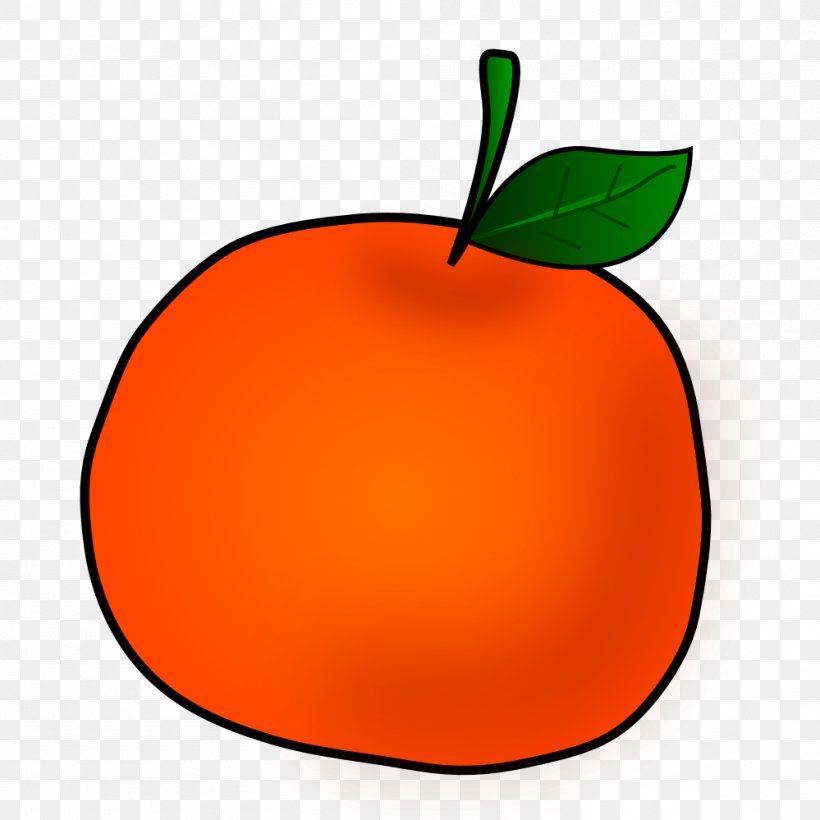 Tangerine Orange Fruit Clip Art, PNG, 999x999px, Tangerine, Apple, Citrus, Clementine, Flowering Plant Download Free