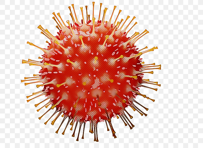 Virus Coronavirus Coronavirus Disease 2019 Infection Severe Acute Respiratory Syndrome Coronavirus 2, PNG, 800x600px, Virus, Coronavirus, Coronavirus Disease, Coronavirus Disease 2019, Covid19 Vaccine Download Free