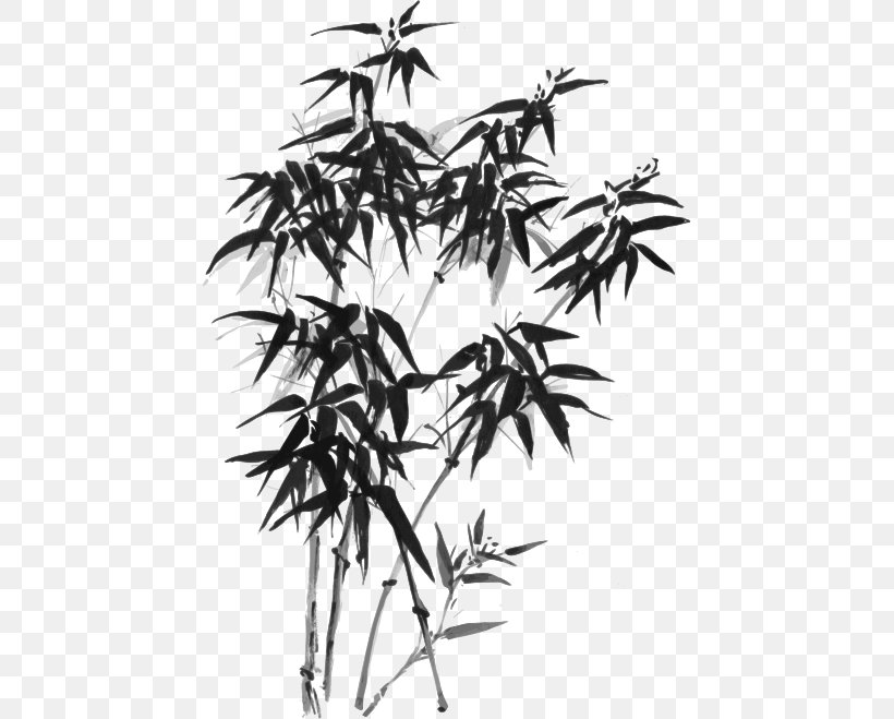 Bamboo Royalty-free Ink Wash Painting Drawing, PNG, 448x659px, Bamboo, Black And White, Branch, Drawing, Flora Download Free