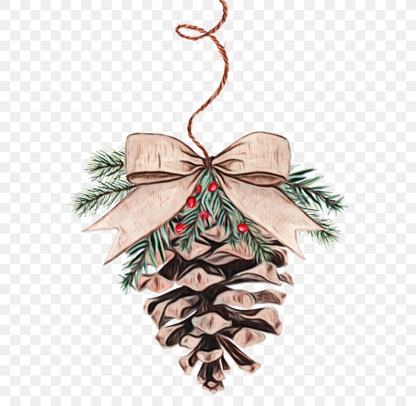 Christmas Ornament, PNG, 800x800px, Watercolor, Christmas Ornament, Colorado Spruce, Conifer, Holiday Ornament Download Free