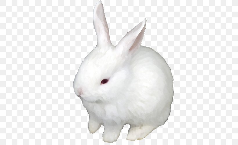 Domestic Rabbit Hare Easter Bunny, PNG, 500x500px, Domestic Rabbit, Easter Bunny, Hare, Mammal, Material Download Free